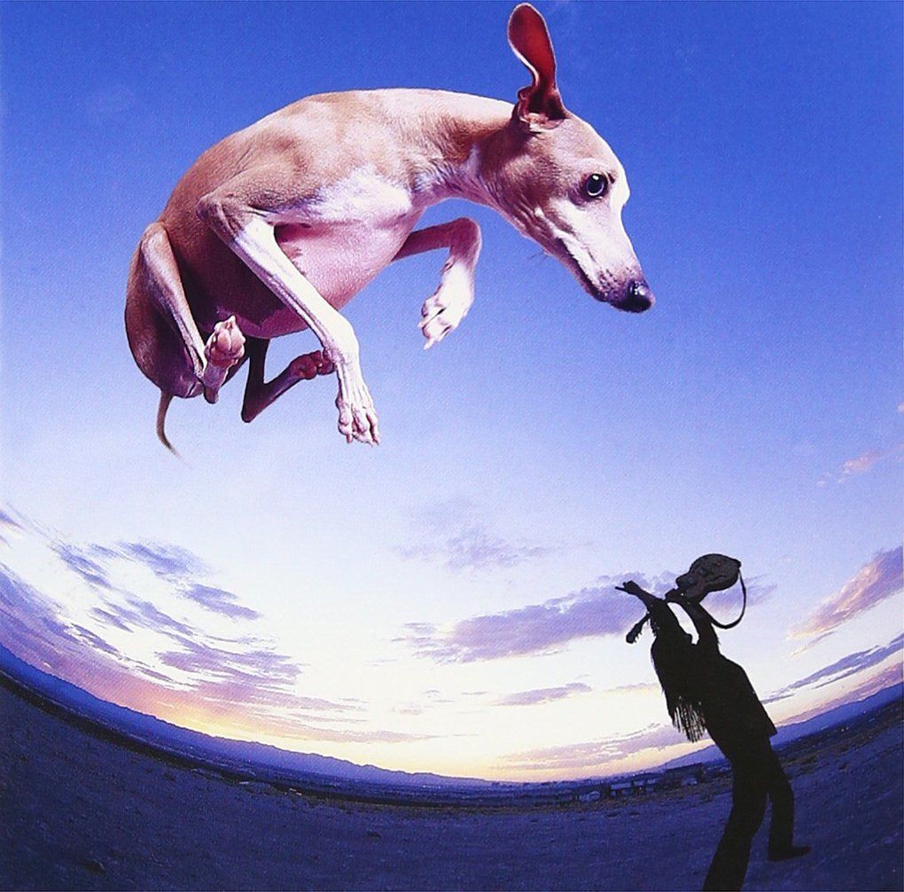 【CD】フライング・ドッグ Plus
