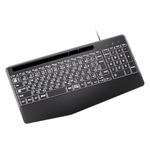 ☆新品☆iClever 有線 キーボード 大きめの文字 7色バックライト 日本語配列 テンキー付き パンタグラフ 明るさ調整 USB接続 薄型 静音 有線キーボード ハンドレスト付き 1.4Mケーブル コンピューター デスクトップ PC ラッ ec50bbf8