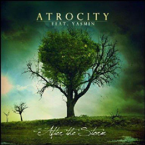【CD】AFTER THE STORM