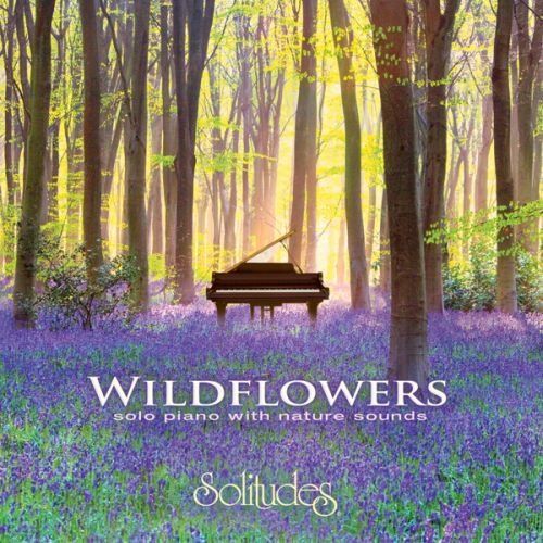 【CD】【輸入盤】Ｗｉｌｄｆｌｏｗｅｒｓ