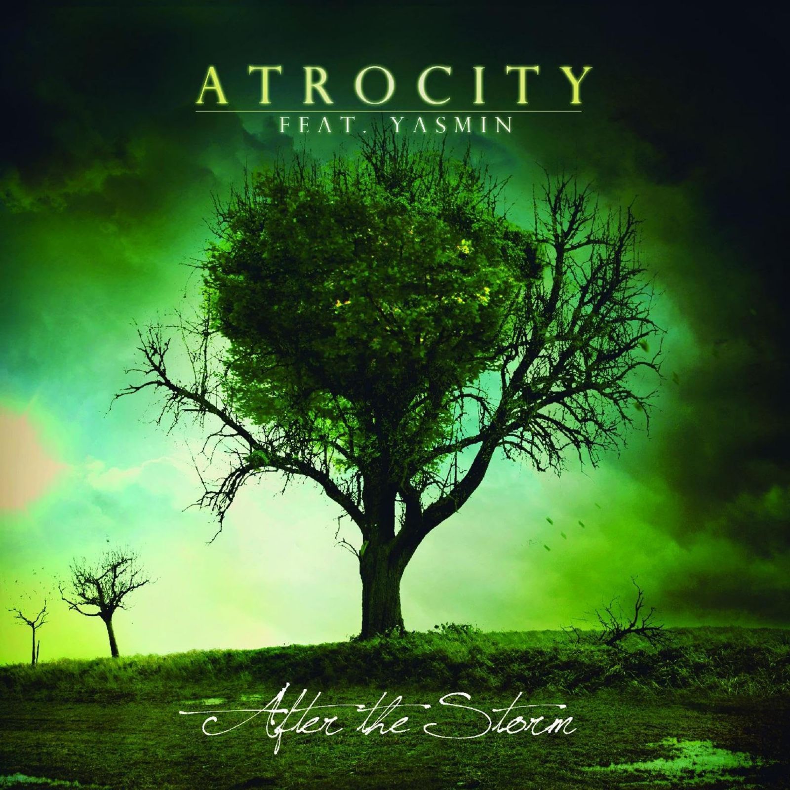 【CD】After the Storm (Dig)
