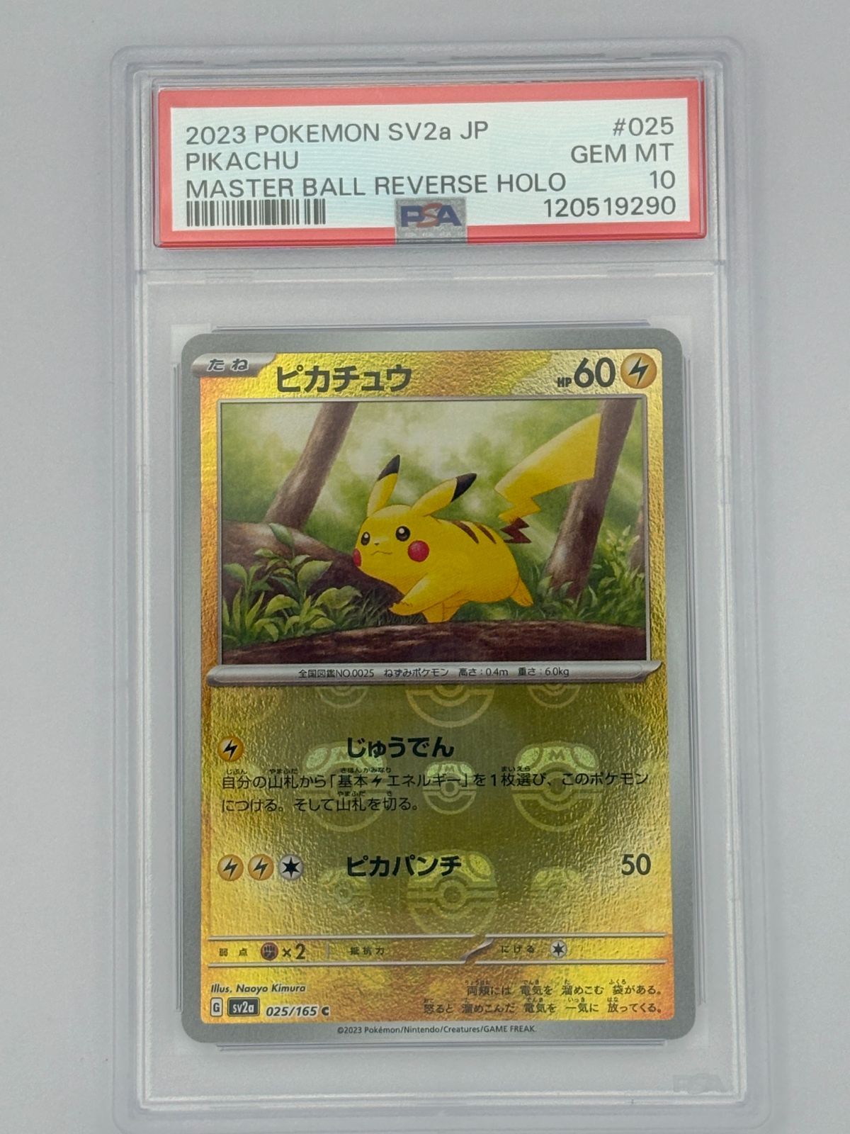 PSA10】ピカチュウ マスターボールミラー SV2a 025/165 ポケモンカード