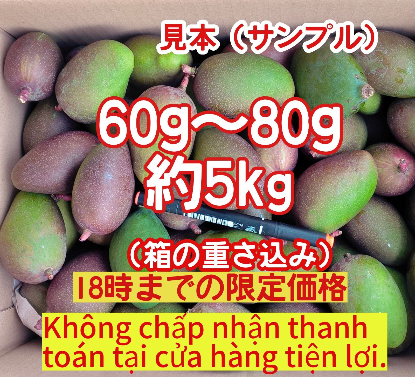 摘果マンゴー　小さいサイズ　24キロ　ATM／コンビニ支払い　不可 限定品】摘果 未熟 加工用 マンゴー/ 約5㎏〈約60g～80g〉 - メルカリ