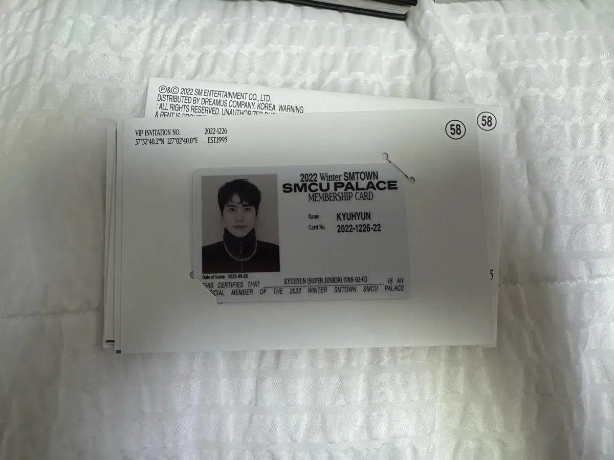 SUPER JUNIOR(スーパージュニア) キュヒョン(KYUHYUN) アイディ カード