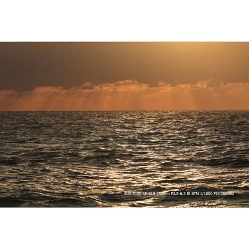 Canon ミラーレス一眼カメラ EOS R100 標準ズームレンズキット(RF-S18-45) ブラック/APS-C/約356g EOSR100-1845ISSTMLKp 53015986 Canon ミラーレス一眼カメラ EOS R100 標準ズームレンズキット(RF-S18-45) ブラック/APS-C/約356g EOSR100-1845ISSTMLKp 53015986