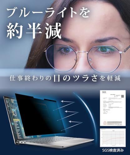 LOE(ロエ) Surface Pro 12インチ 覗き見防止 保護フィルム 【マグネット式】 プライバシーフィルター ブルーライトカット 反射防止 アンチグレア (サーフェスプロ12) 1枚e 5820233e LOE(ロエ) Surface Pro 12インチ 覗き見防止 保護フィルム 【マグネット式】 プライバシーフィルター ブルーライトカット 反射防止 アンチグレア (サーフェスプロ12) 1枚e 5820233e