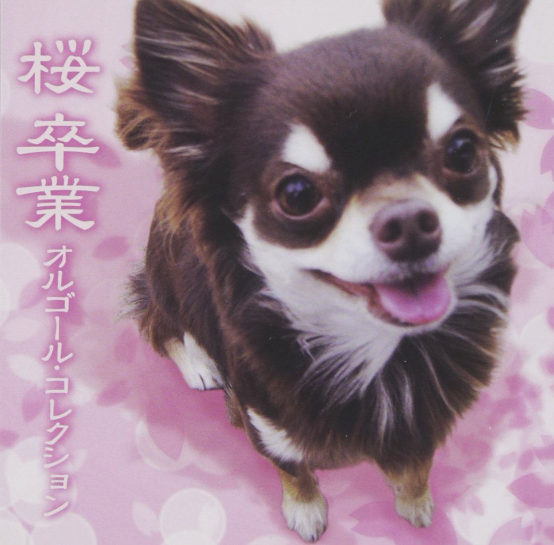 【CD】桜/卒業オルゴール・コレクション