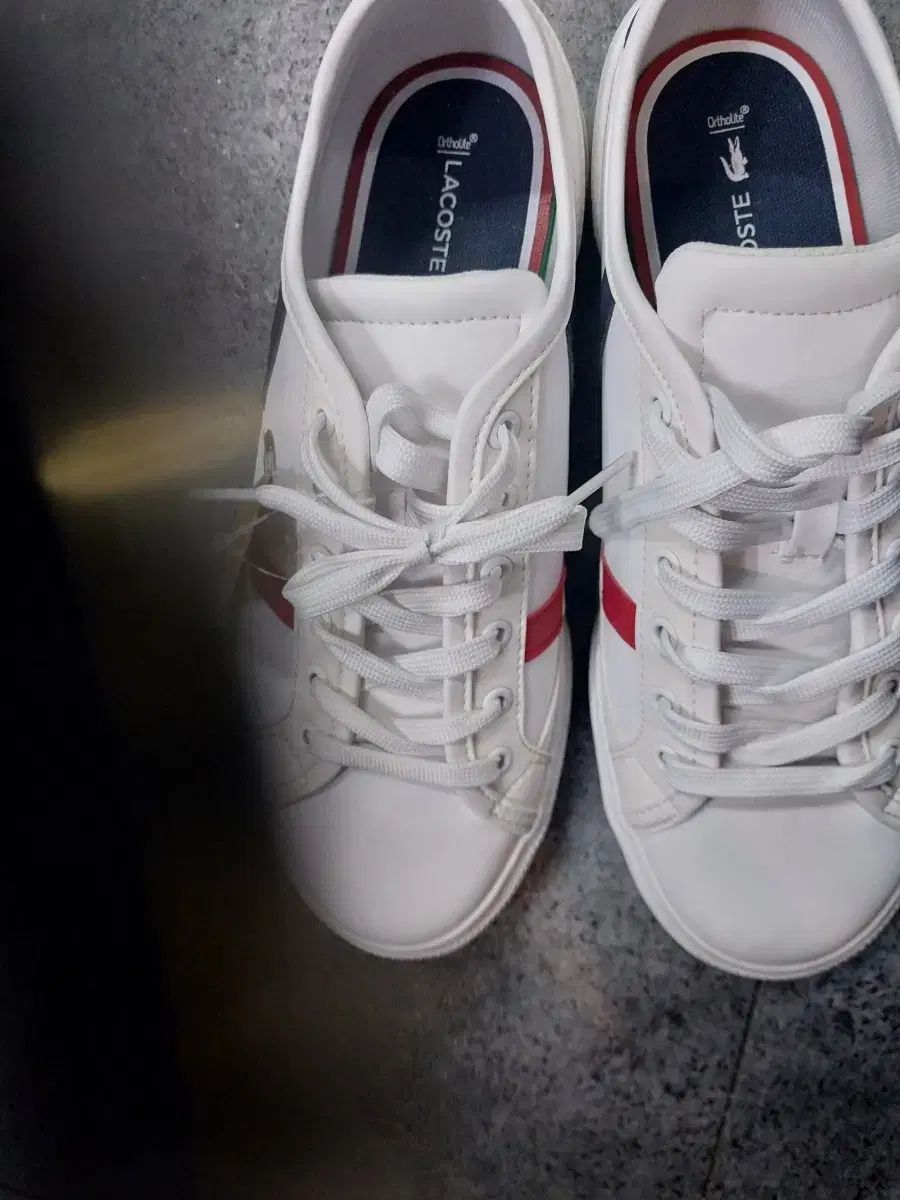 ラコステ ラコステ LACOSTE 39 250