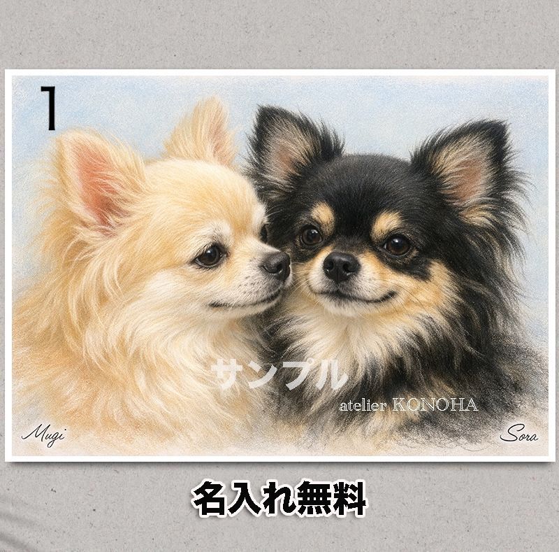 チワワ イラストポスター A4 名入れ無料 Sweet Besties CHI-017 - メルカリ