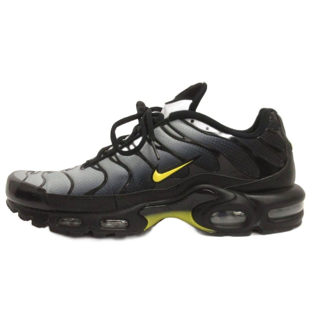 ナイキ NIKE Air Max Plus スニーカー ローカット DM0032-012 グレー 29.5cm