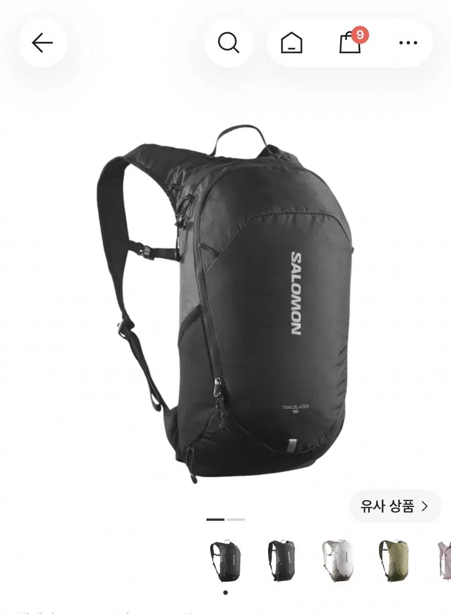 SALOMON サロモン トレイルブレーザー 10 ブラック