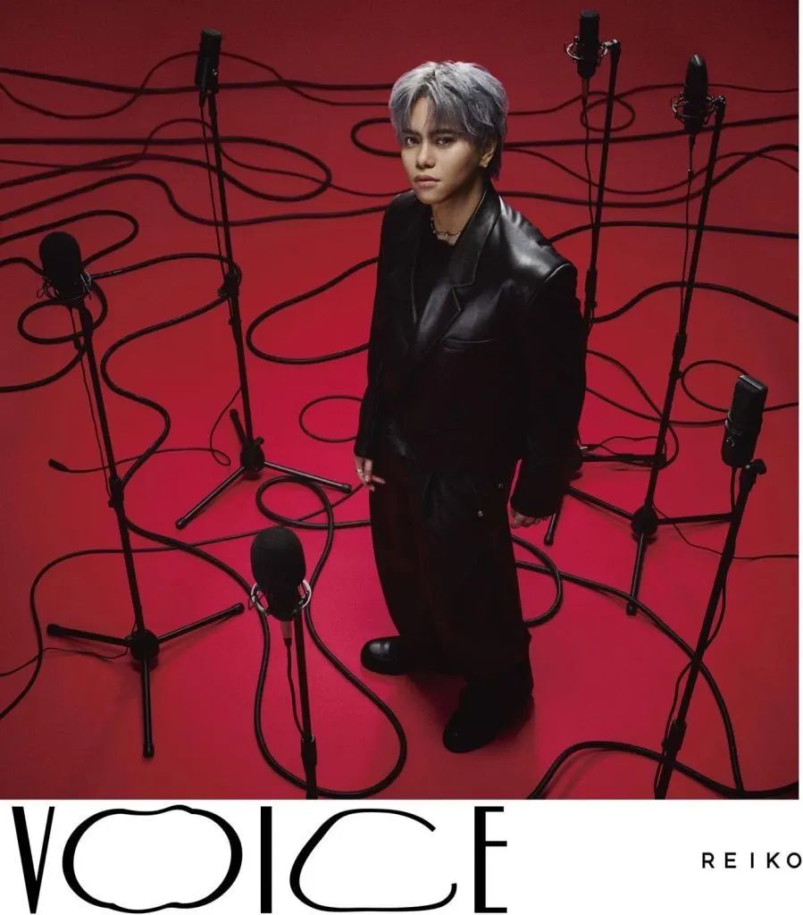 【中古】邦楽CD REIKO / VOICE[DVD付初回限定盤(REIKO’s Winterland盤)]