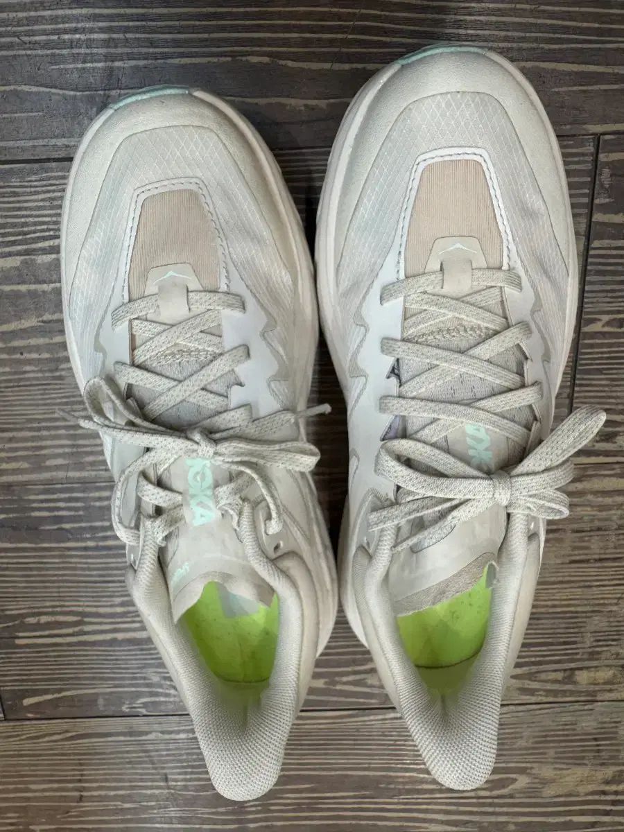 HOKA ONE ONE ホカオネオネ スピード ゴー 5 240サイズ