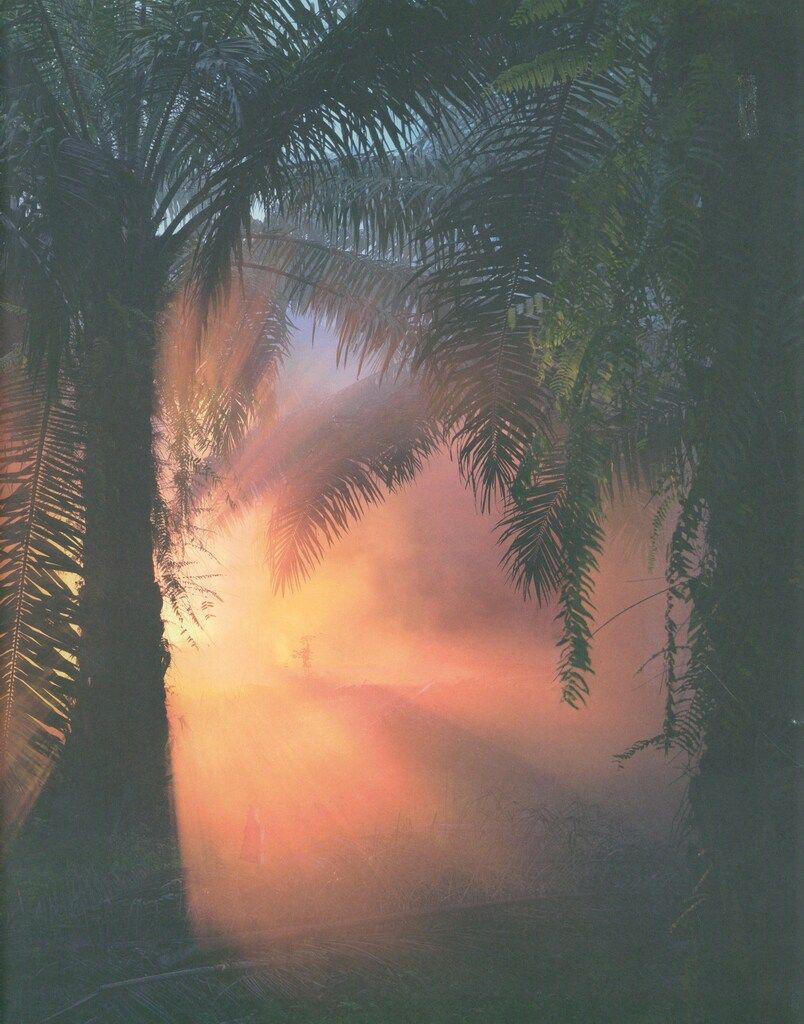 Julian Charriere An Invitation to Disappear