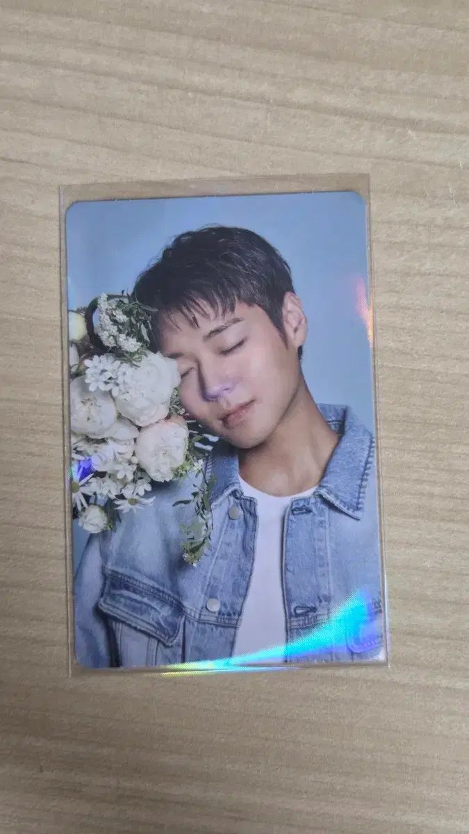 [PARK JIHOON] パクジフン シーグリ トレカ まとめ売り キヨンのチキン パク・ジフン(PARK JIHOON) トレカ - メルカリ
