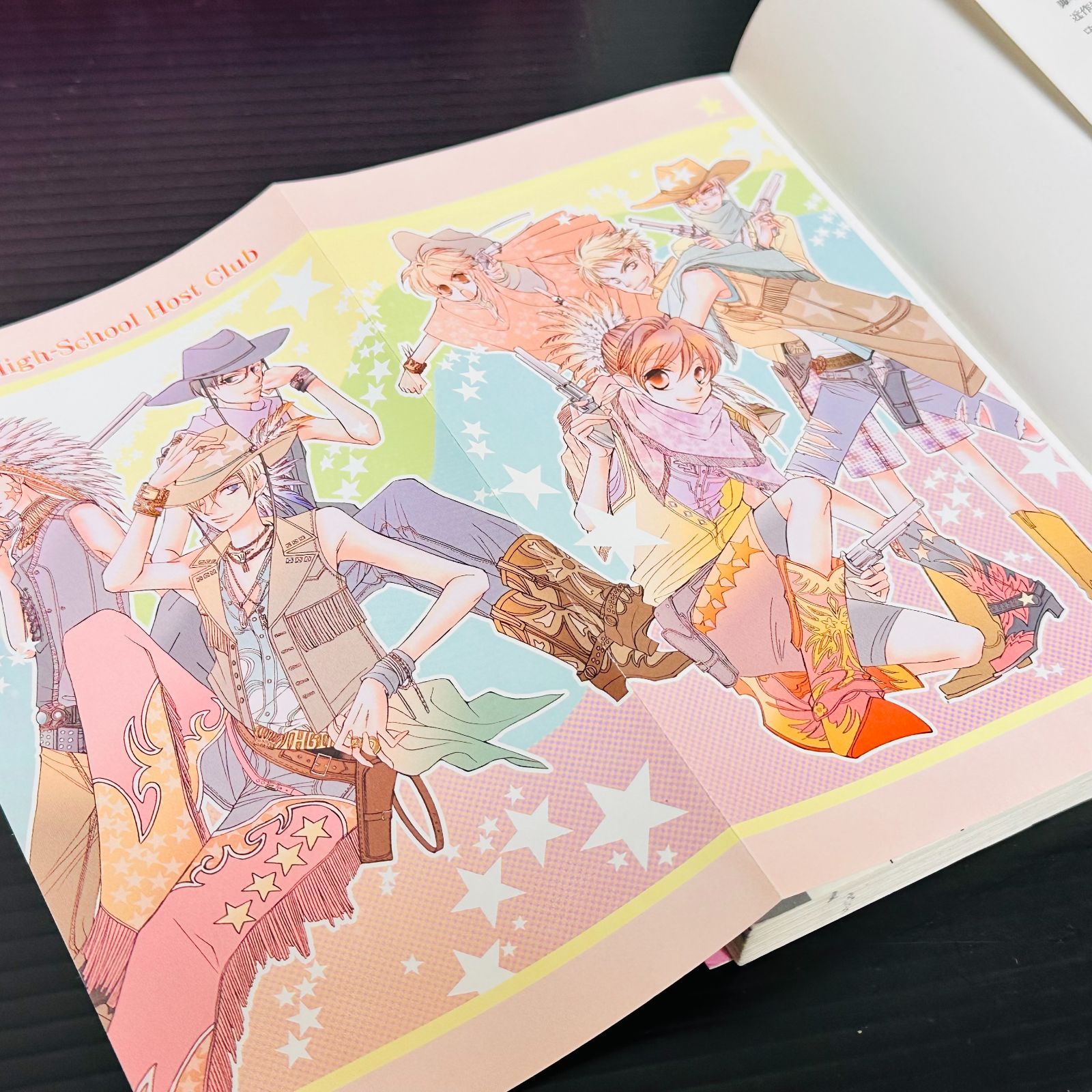 桜蘭高校ホスト部 全18巻セット ファンブック 小説本 全巻セット