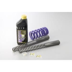 【新品・5営業日で発送】アクティブ(ACTIVE) コンビKIT 22051740+22051741 (ローダウンタイプ:約-30mm) HYPERPRO 22051742 KATANA(ABS) 19-22