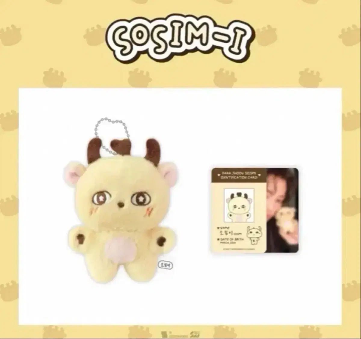 パク・ジフン(PARK JIHOON) ソシミ 未開封 フルセット SET