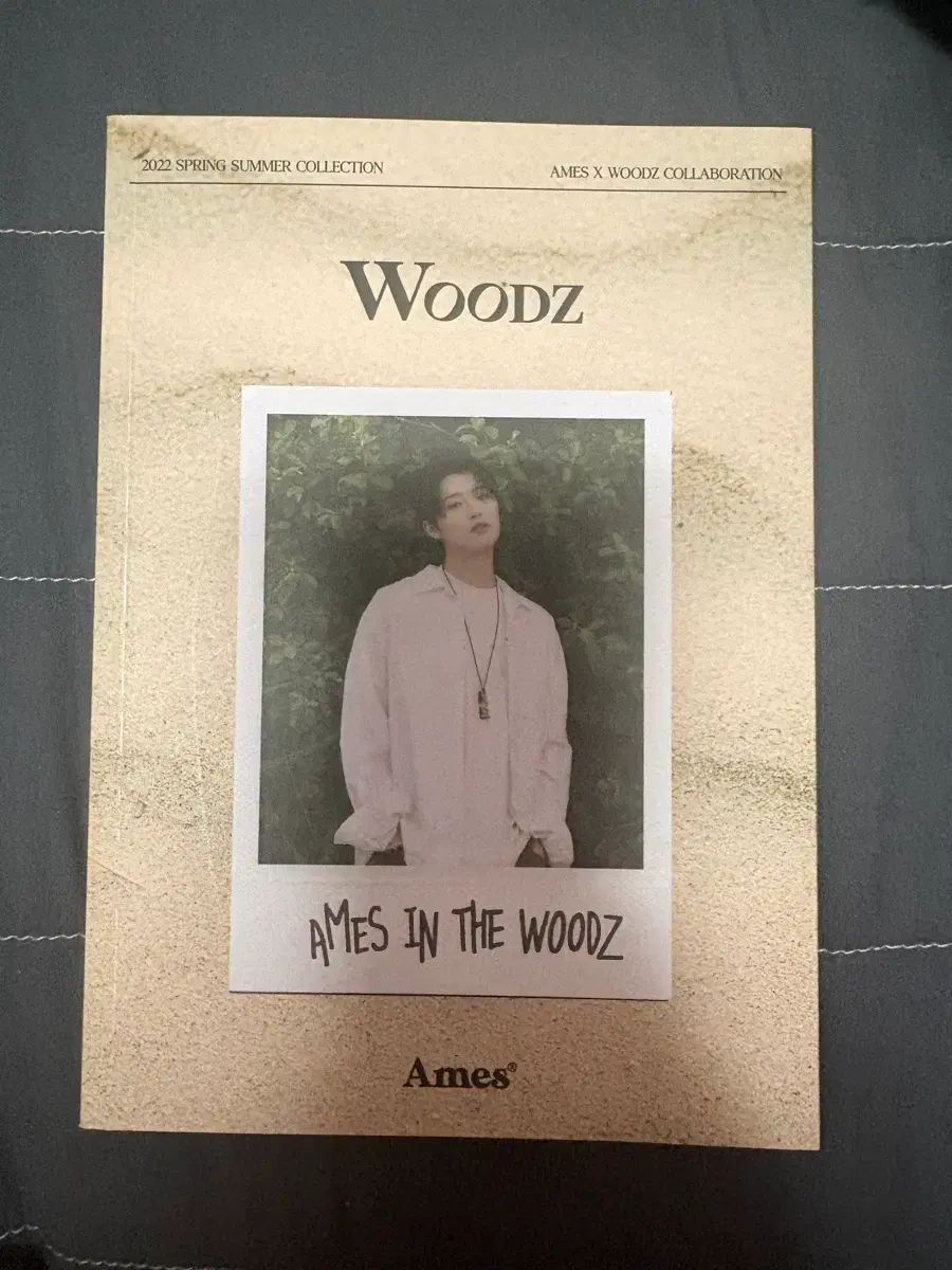 チョ・スンヨン(WOODZ) あんさんぶるスターズ！！(あんスタ) コラボ