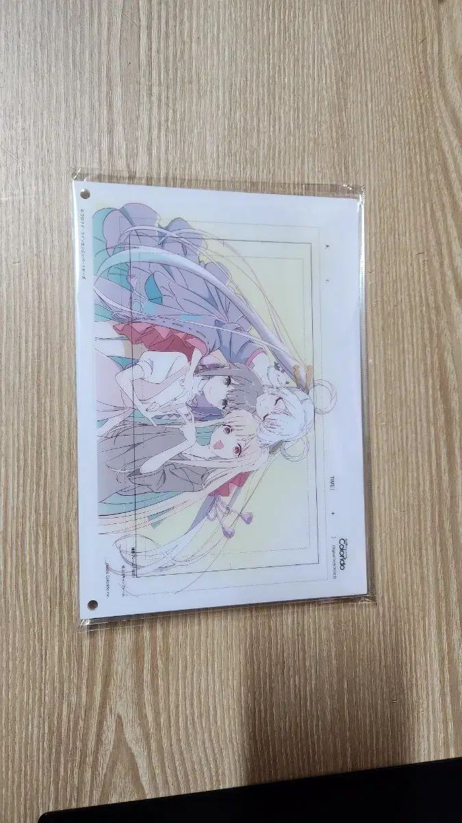 초 四宮 かぐや プリンセス 原画 アクリル クリアファイル