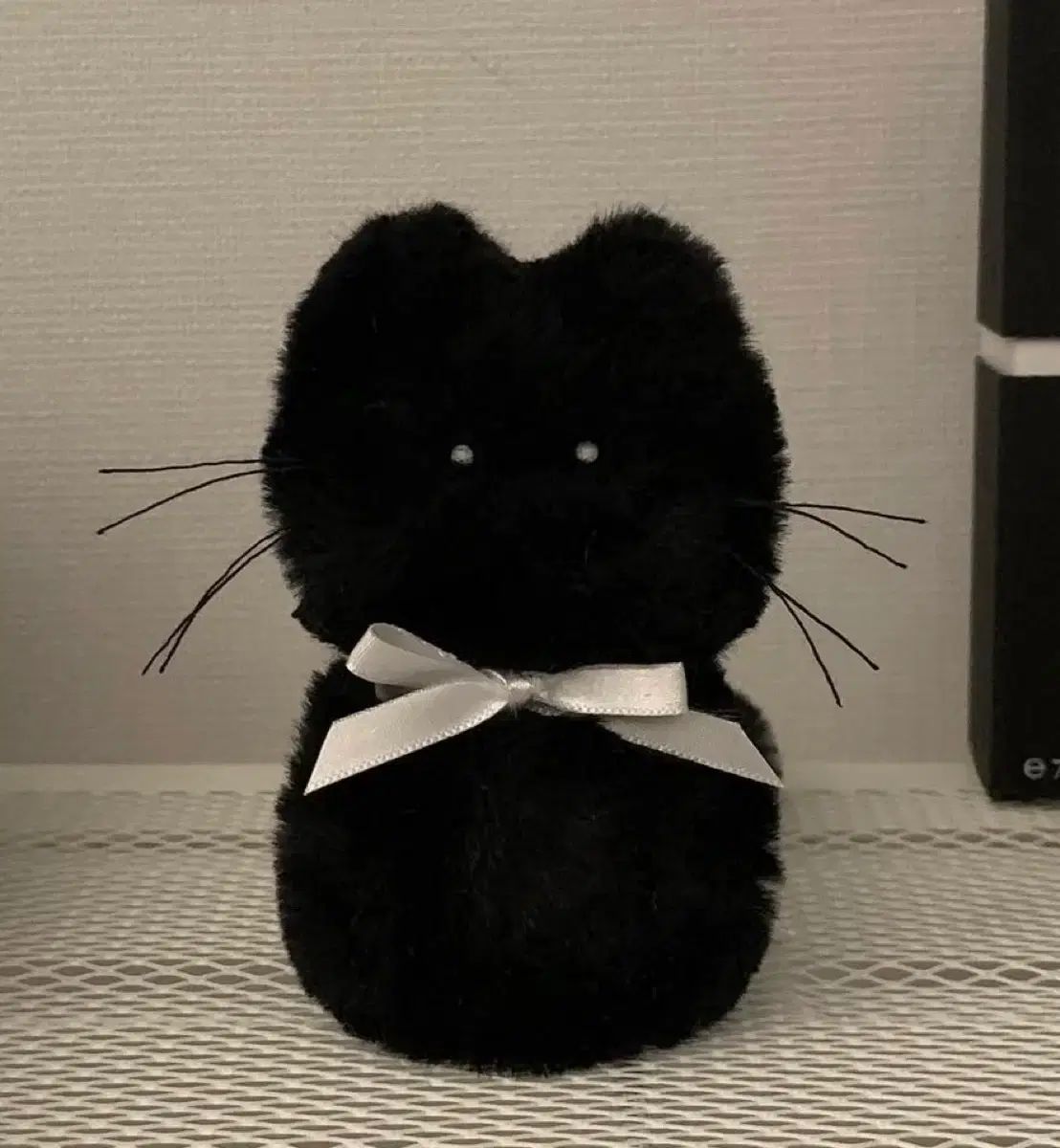 (新品)私だけいない猫 iwantcatsomuch トウシューズ ニャー ブラック