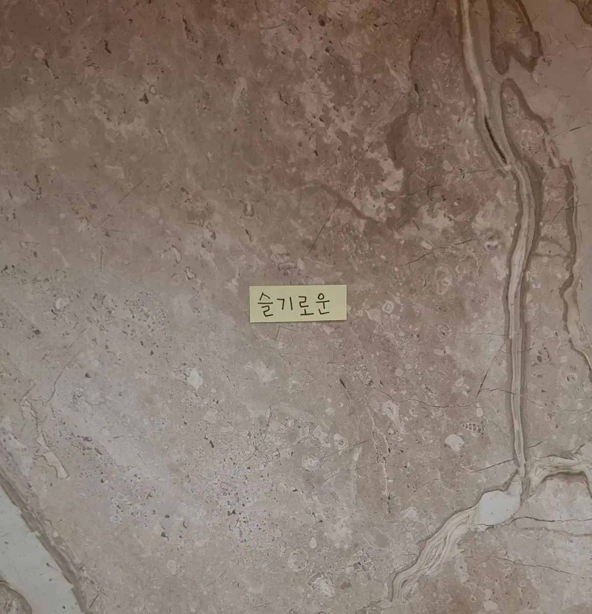 <재자호 様>