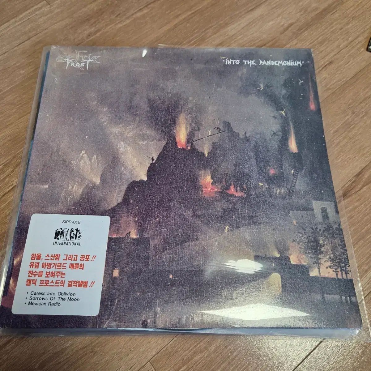 LP ： ライセンス 気性