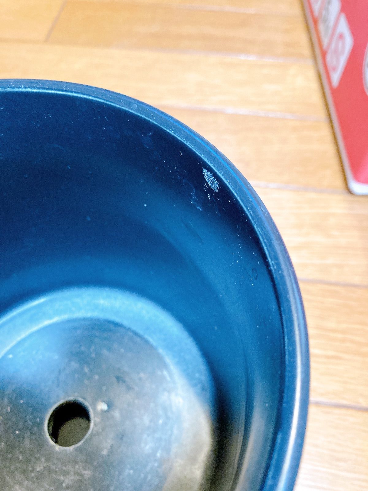 アガベ鉢 ハチ 植木鉢 インテリア 園芸 ガーデニング グラキリス 塊根