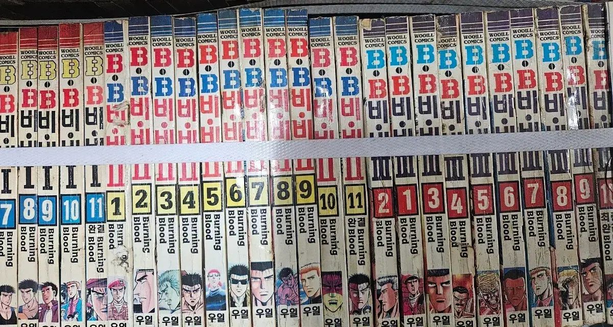 B ビビ 1 - 3 部 全 32 巻
