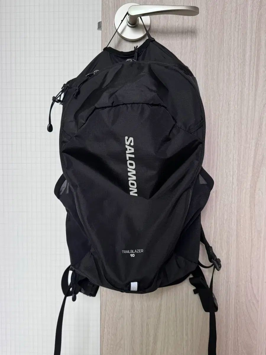 SALOMON サロモン トラベルレーザー 10L
