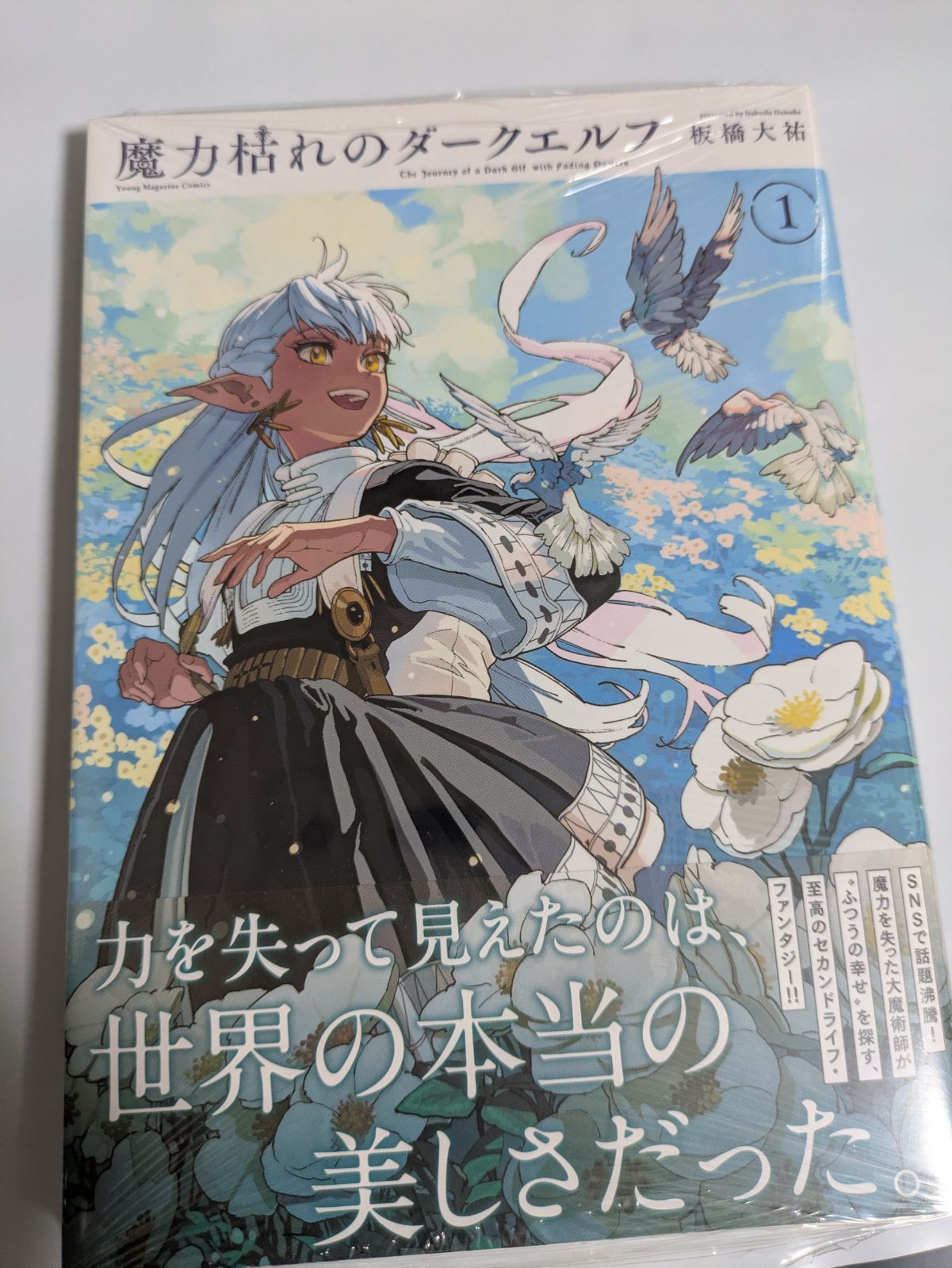 魔力枯れのダークエルフ 第1巻 初版 アニメイト 特典 イラストカード
