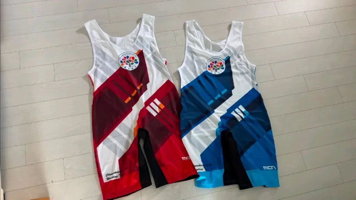 충남도청 레슬링복 出品 더 안내립니다