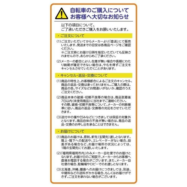 21Technology ロードバイク GT100S ホワイト ブルー【代引不可】【お客様組立】 thumbnail 2