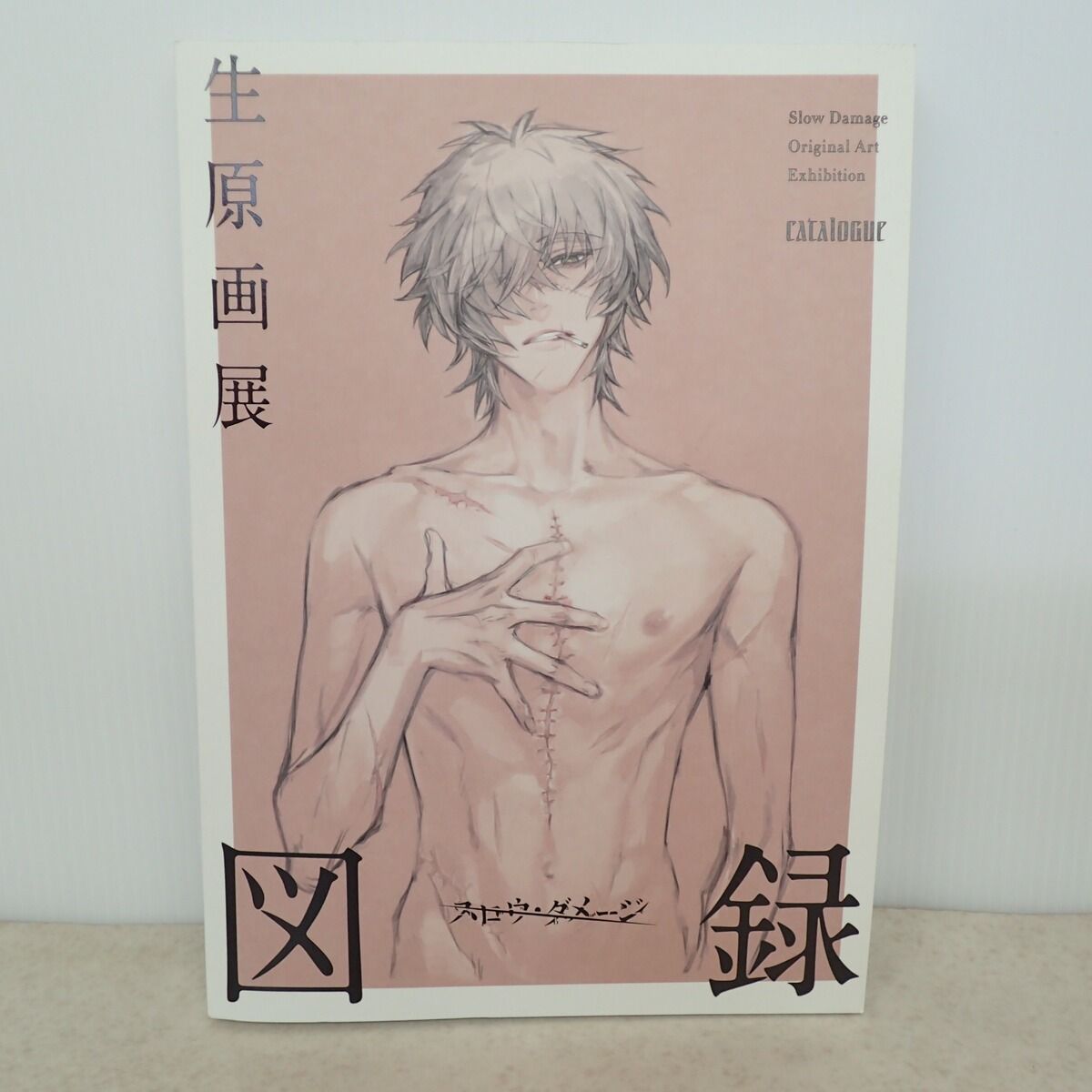 スロウ・ダメージ　生原画展　図録 スロウ・ダメージ 生原画展 図録 2024年発行 でじたろう ニトロプラス