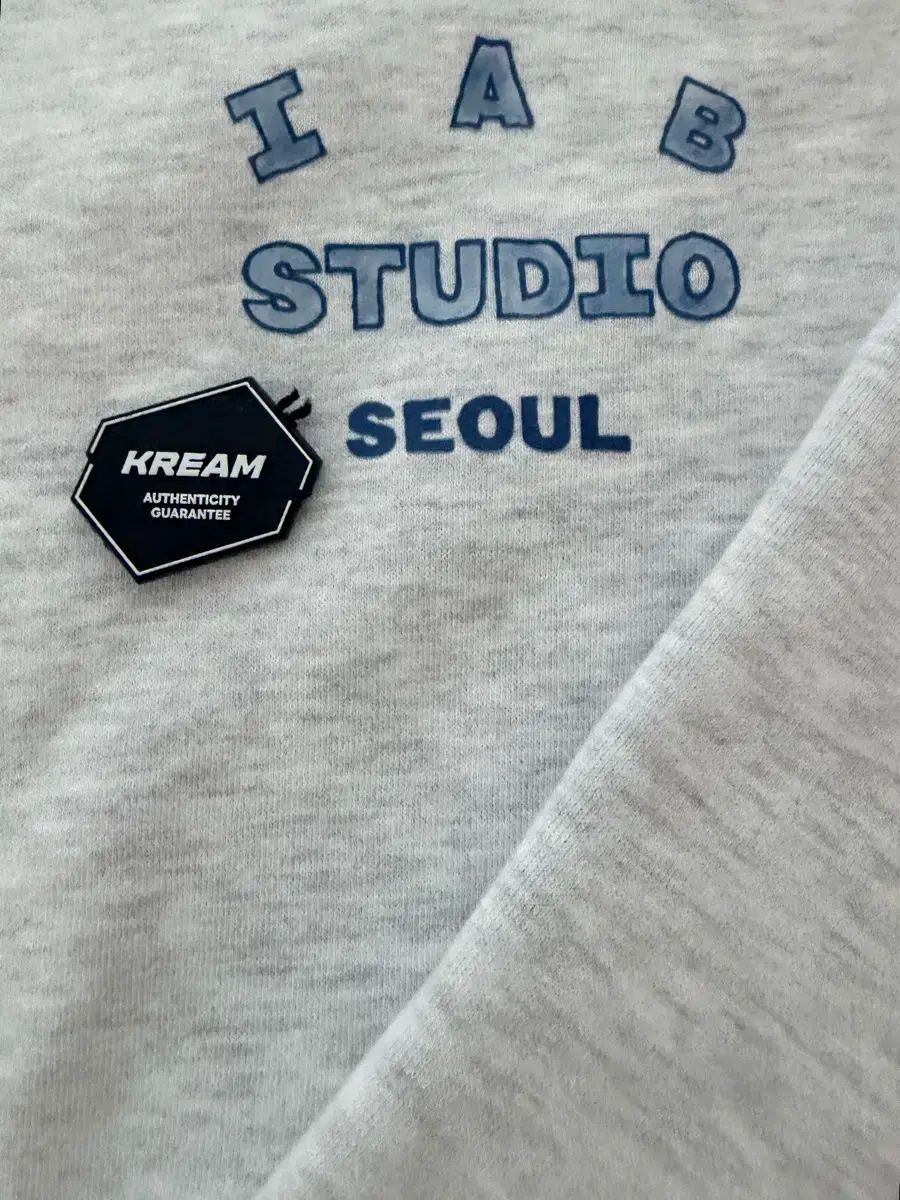 IAB Studio ソウル WHO フード ライト グレー (XL) IAB Studio ソウル WHO フード ライト グレー (XL)