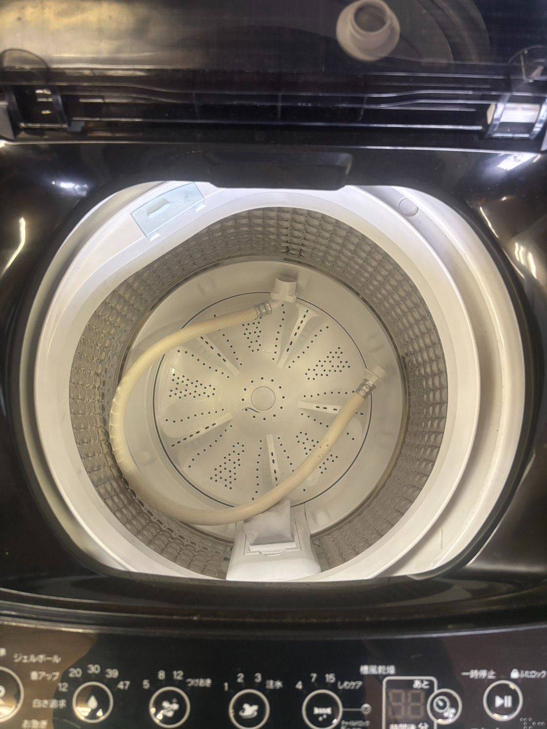 ハイアールHaier縦型洗濯機6.0kg JW-HS61D 2025 [189] 正規
