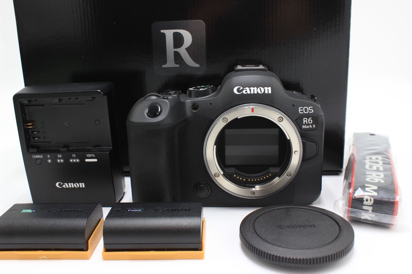 4000ショット以下!Canon EOS R6 MarkⅡ キヤノン