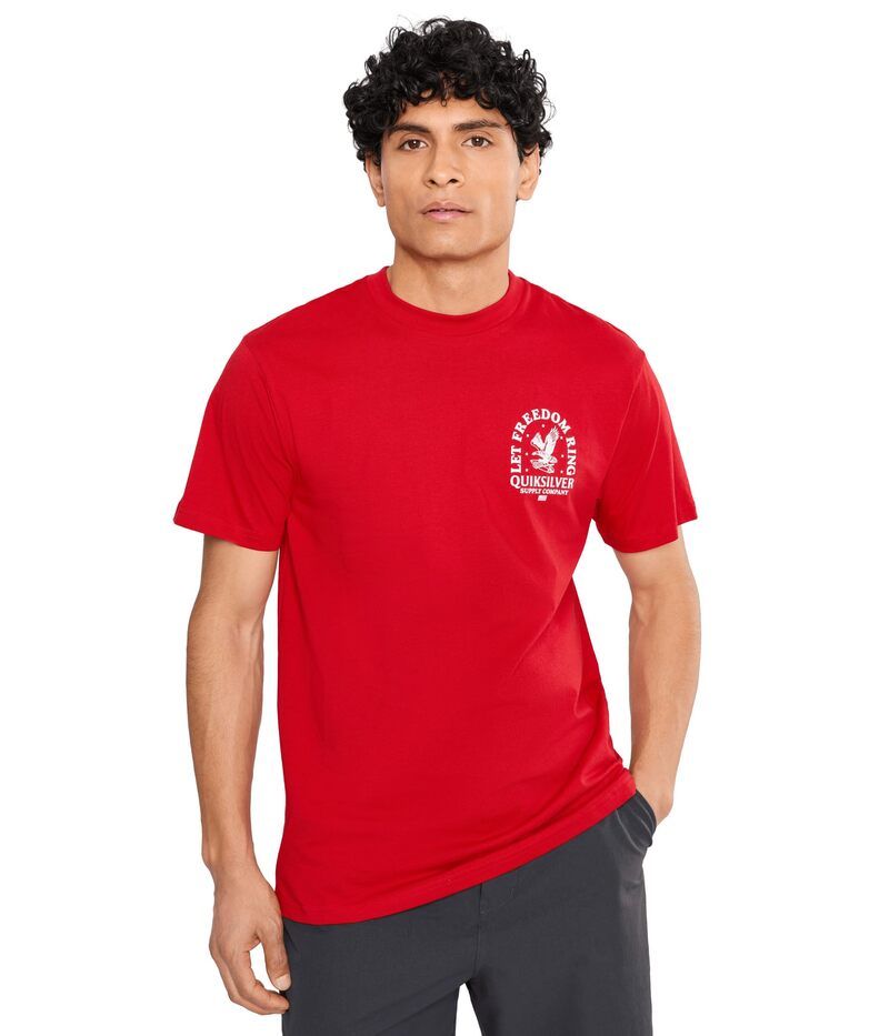 クイックシルバー メンズ トップス シャツ Quiksilver Freedom Ring Screen Tee Salsa