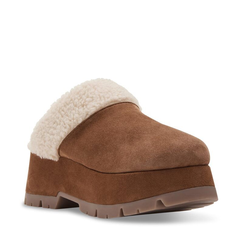 スティーブ マデン レディース シューズ サンダル Steve Madden Juney Chestnut Suede