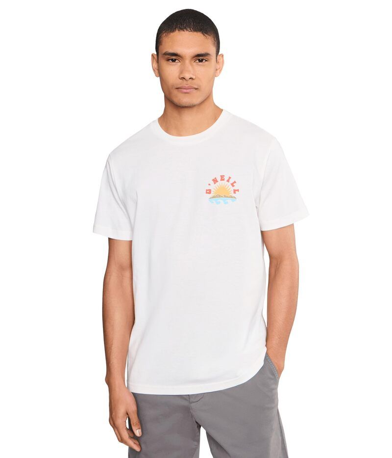 オニール メンズ トップス シャツ Oneill Solar Scenic Short Sleeve Classic Tee Tofu
