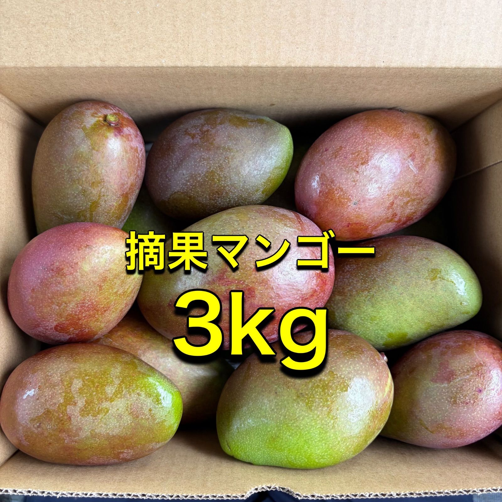 沖縄県産 摘果マンゴー 青マンゴー グリーンマンゴー 3kg 漬物用