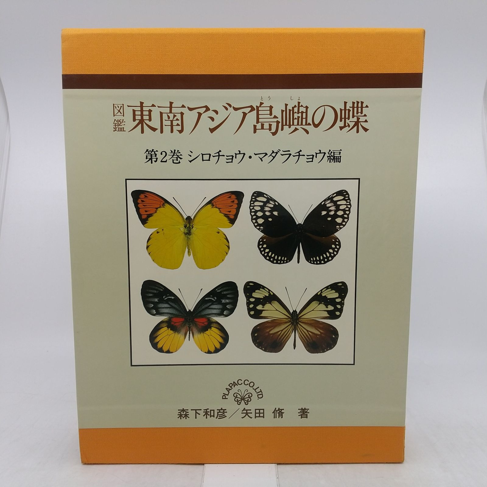 東南アジア島嶼の蝶 第2巻 シロチョウ・マダラチョウ編 1981年(昭和56