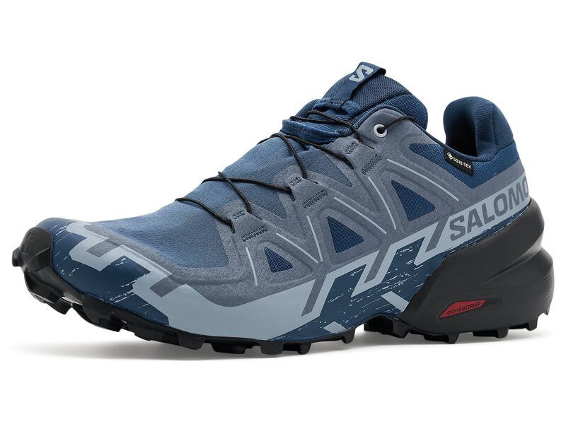 サロモン メンズ シューズ スニーカー Salomon Speedcross 6 GORETEXR Spellbound