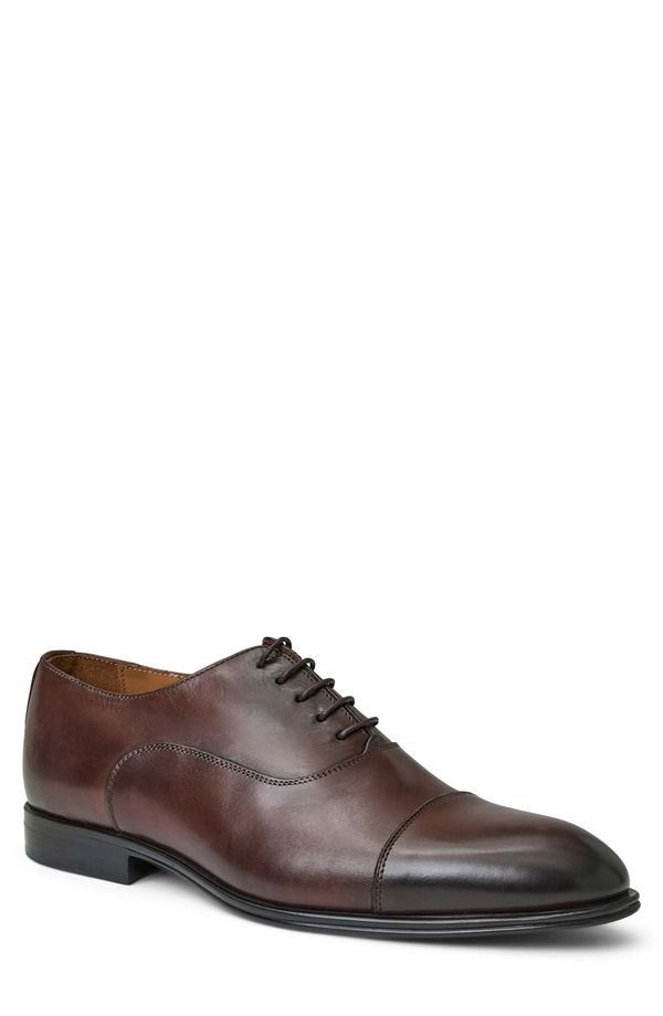 ブルーノマグリ メンズ シューズ オックスフォード キャップ Bruno Magli Adriano Cap Toe Oxford Brown ブラウン