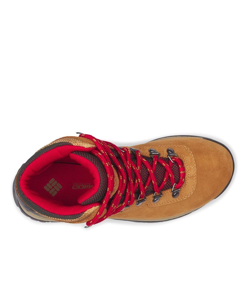 コロンビア レディース シューズ スニーカー プラスサイズ Columbia Newton Ridge Plus Waterproof Amped ElkMountain Re