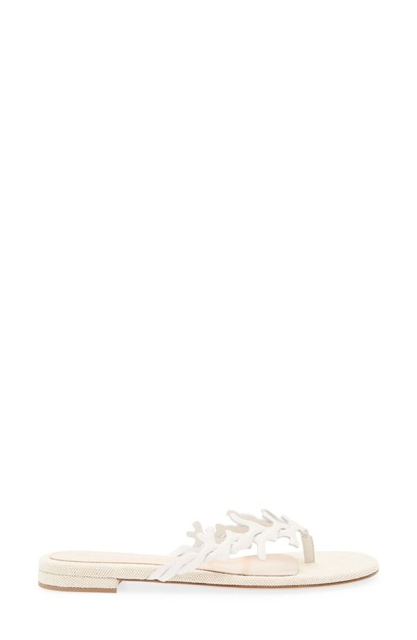 ジャンヴィト ロッシ レディース シューズ サンダル Gianvito Rossi Parosandal Offwhite Naturale オフホワイト ジャンヴィト ロッシ レディース シューズ サンダル Gianvito Rossi Parosandal Offwhite Naturale オフホワイト