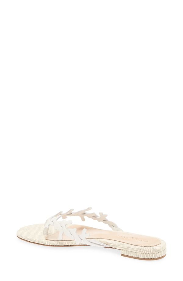 ジャンヴィト ロッシ レディース シューズ サンダル Gianvito Rossi Parosandal Offwhite Naturale オフホワイト ジャンヴィト ロッシ レディース シューズ サンダル Gianvito Rossi Parosandal Offwhite Naturale オフホワイト