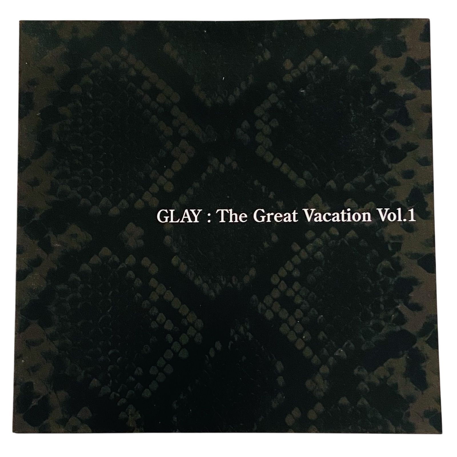 F05256 DVD GLAY The Great Vacation Vol.1 disc 2枚 MUSIC VIDEO EMI