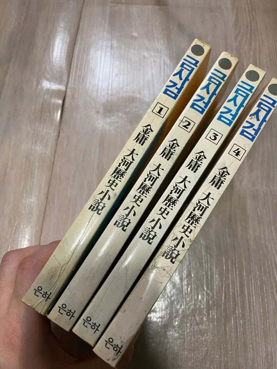 金庸 武侠小説 金蛇剣（碧血剣） 1-4（完）出品