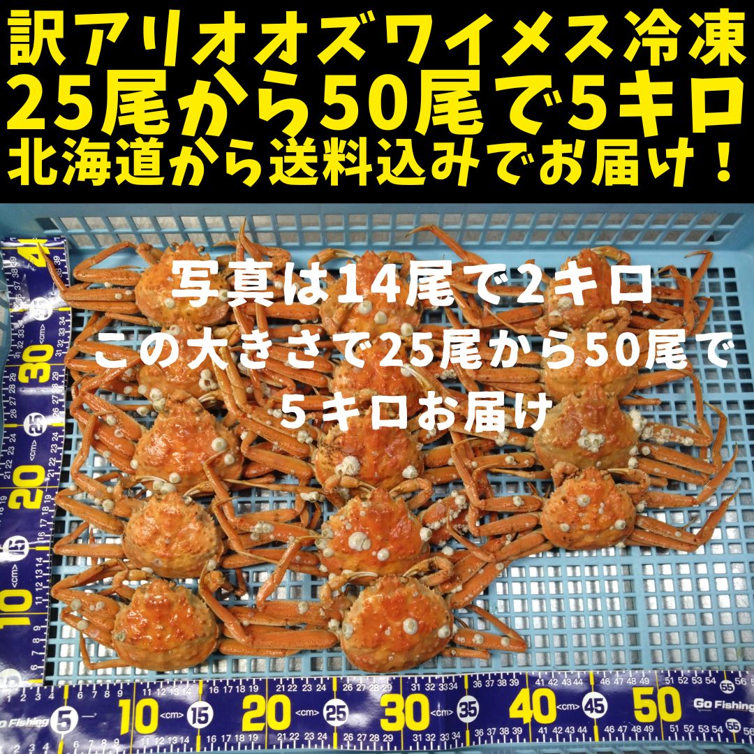 訳ありオオズワイメス25尾から50尾で5キロボイルワンブロック冷凍